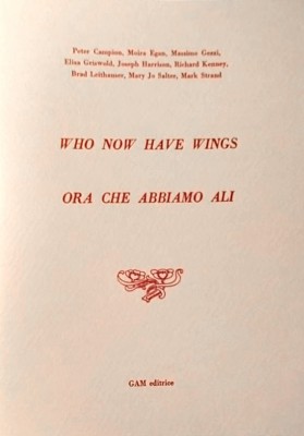 Copertina Ora che abbiamo ali