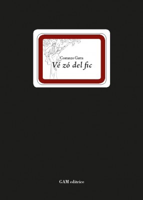 Copertina Vé zo del fic