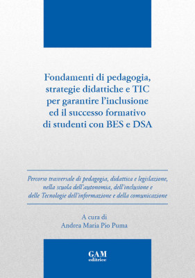 Copertina Fondamenti di pedagogia, strategie didattiche e TIC per garantire l’inclusione ed il successo formativo di studenti con BES e DSA