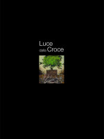 Copertina Luce dalla croce